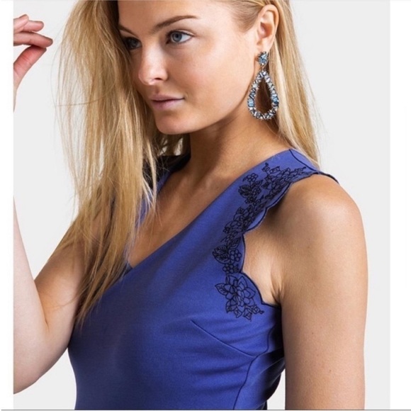 Francesca's Size Medium Blue Embroidered Dress. - Picture 4 of 5